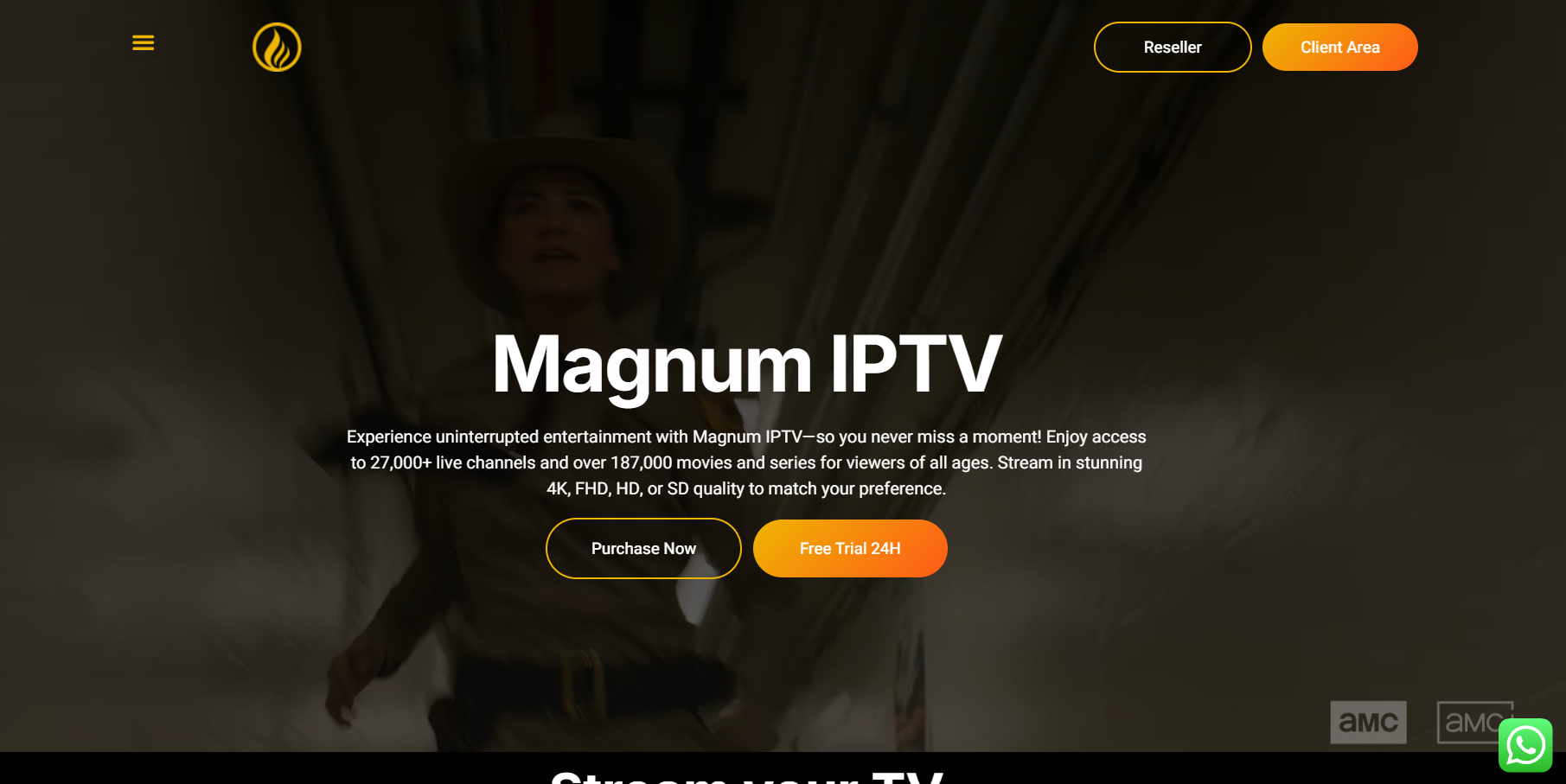 magnum iptv providers